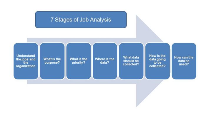 7-stages-of-job-analysis